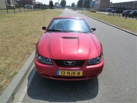 Ford Mustang Convertible - USA 3.8 V6 - 1