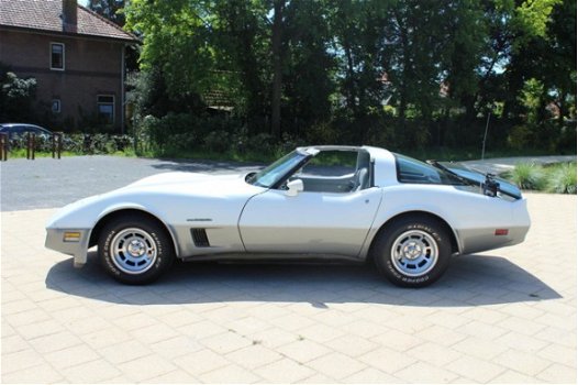 Chevrolet Corvette - USA 1 YZ 87 T-Roof Rack - 1