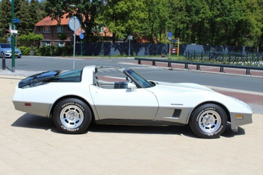 Chevrolet Corvette - USA 1 YZ 87 T-Roof Rack - 1