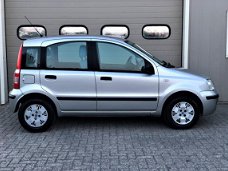 Fiat Panda - 1.2 Class