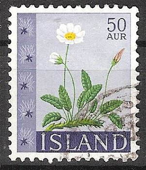 island 381 - 1