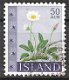 island 381 - 1 - Thumbnail