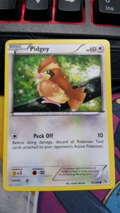 Pidgey 75/106 XY Flashfire - nr. 1