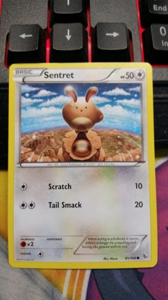 Sentret 81/106 XY Flashfire - nr. 1