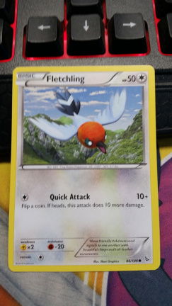 Fletchling 86/106 XY Flashfire - nr. 1