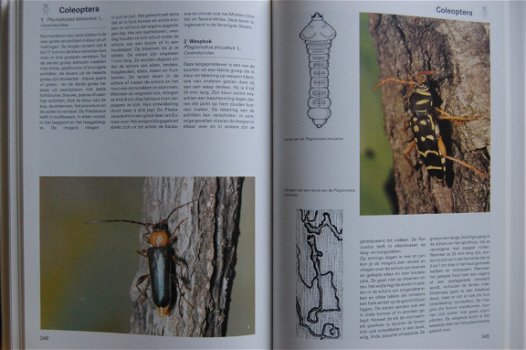 De grote encyclopedie der insekten - 4