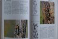 De grote encyclopedie der insekten - 4 - Thumbnail
