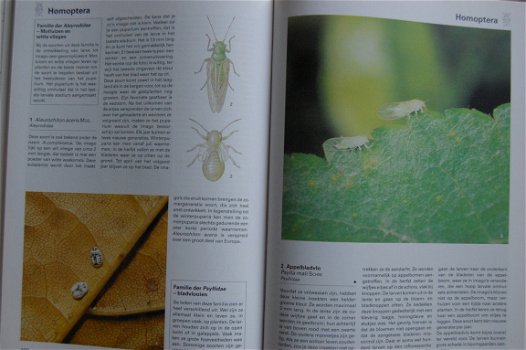 De grote encyclopedie der insekten - 6