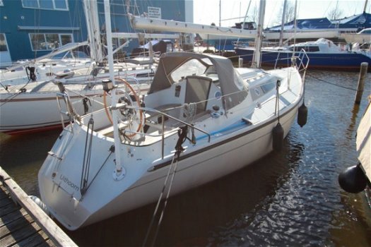 Dehler 31 NOVA - 1