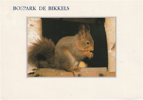 Bospark de Bikkels - 1