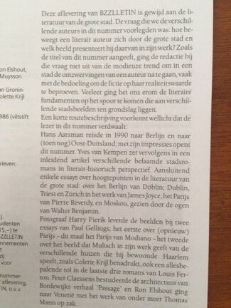Bzzlletin 263 - Stadsplan - Afbeelding 2