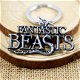 Sleutelhanger Fantastic Beasts - 2 - Thumbnail
