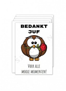 Wenskaarten bedankt juf badge A6 - 10 stuks - 2