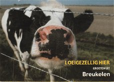 Loeigezellig hier Groeten uit Breukelen