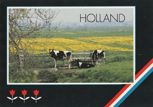Souvenir kaart Holland - 1