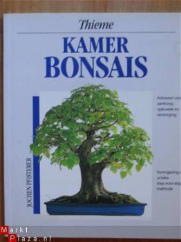 kamer Bonsais - 1