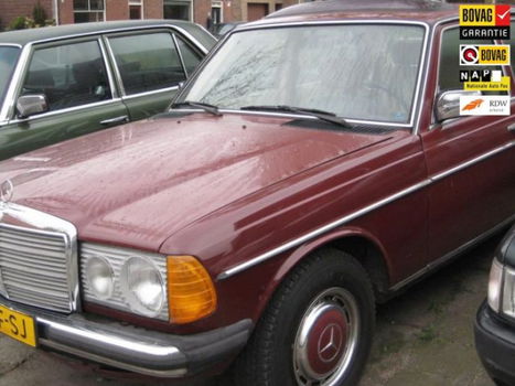 Mercedes-Benz 230 - (W123) E - 1