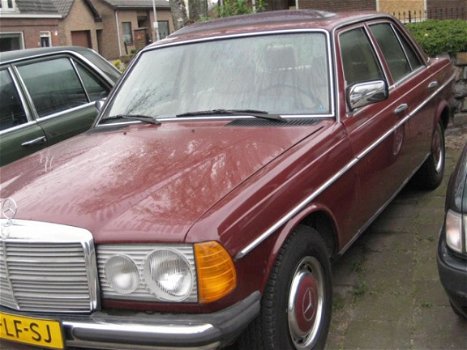 Mercedes-Benz 230 - (W123) E - 1