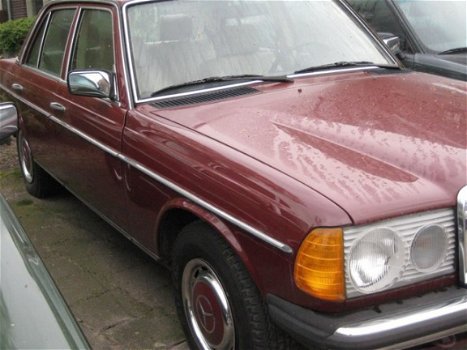 Mercedes-Benz 230 - (W123) E - 1