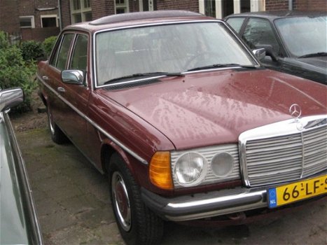 Mercedes-Benz 230 - (W123) E - 1