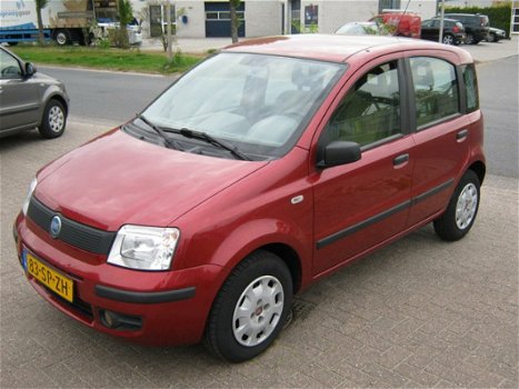 Fiat Panda - 1.1 Young - 1