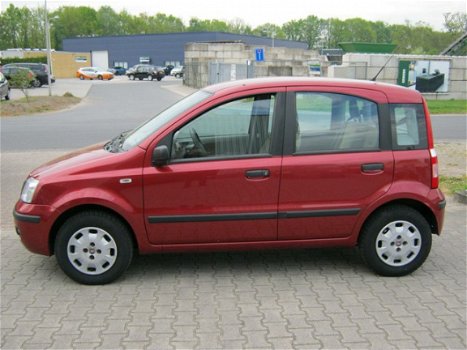 Fiat Panda - 1.1 Young - 1