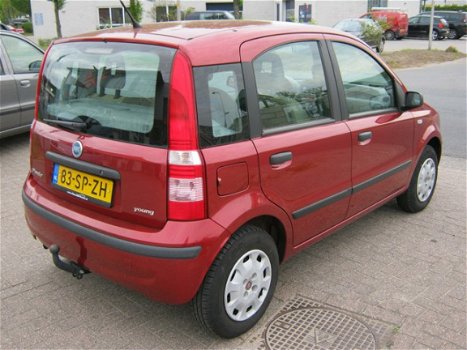 Fiat Panda - 1.1 Young - 1