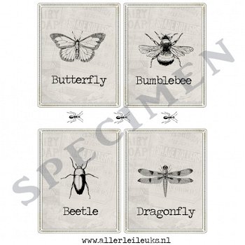 Knipvel insecten A4 knipvellen hobby kaarten maken - 1