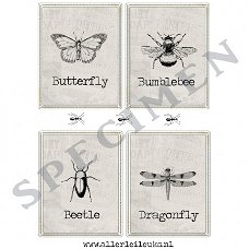 Knipvel insecten A4 knipvellen hobby kaarten maken