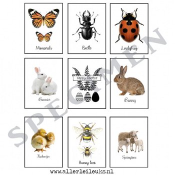 Knipvel insecten A4 knipvellen hobby kaarten maken - 7