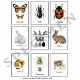 Knipvel insecten A4 knipvellen hobby kaarten maken - 7 - Thumbnail