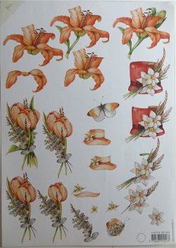 3D knipvel (A4) --- BLOEMEN --- Marianne Design MB 0054 --- ORANJE en WITTE BLOEMEN