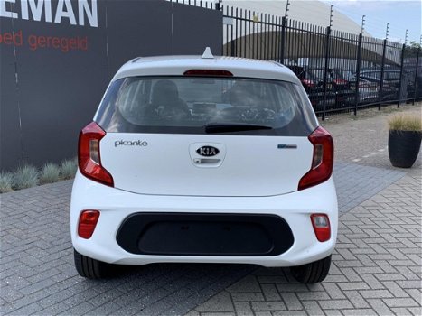 Kia Picanto - Dynamicline l Navigatie l Private lease € 249 p.m - 1