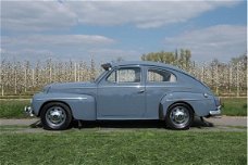 Volvo PV544 - Katterug bijzonder mooie staat