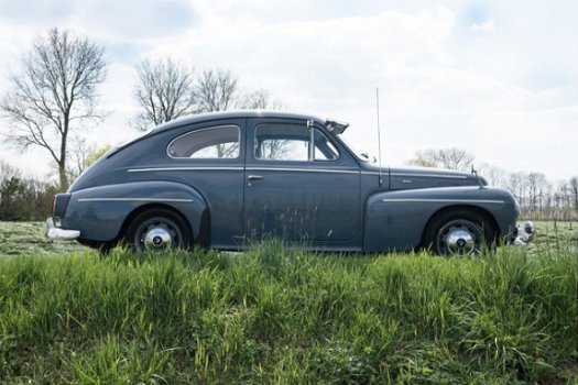 Volvo PV544 - Katterug bijzonder mooie staat - 1