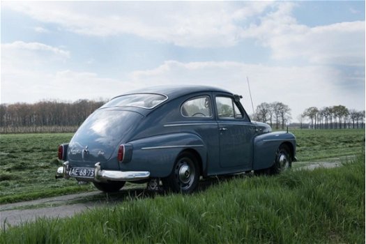 Volvo PV544 - Katterug bijzonder mooie staat - 1