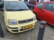 Fiat Panda - 1.2 Edizione Cool - 1 - Thumbnail