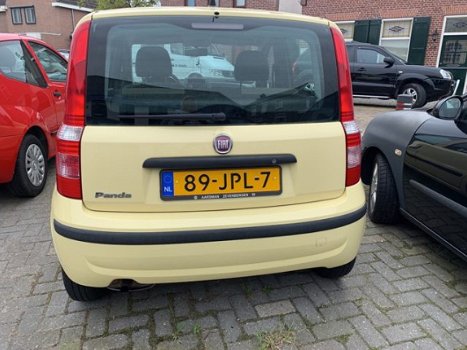 Fiat Panda - 1.2 Edizione Cool - 1