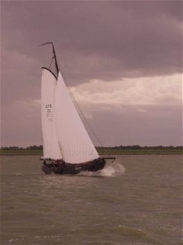 Deining vissermanschouw zeeschouw - 1