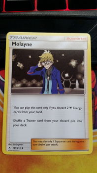 Molayne 181/214 sm Unbroken Bonds - 1