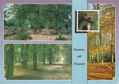 Groeten uit Elspeet 1992 - 1