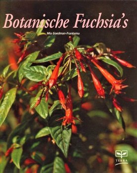 Botanische Fuchsia`s - 1