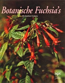 Botanische Fuchsia`s