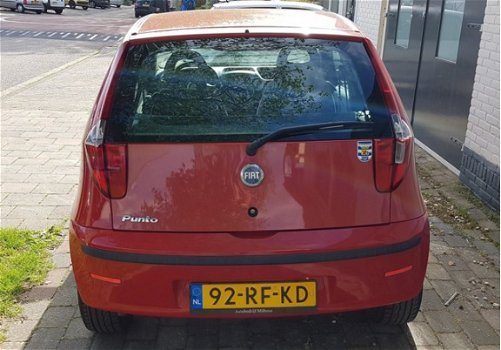 Fiat Punto - 1.2 Active - 1