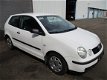 Volkswagen Polo - 1, 2 - 1 - Thumbnail