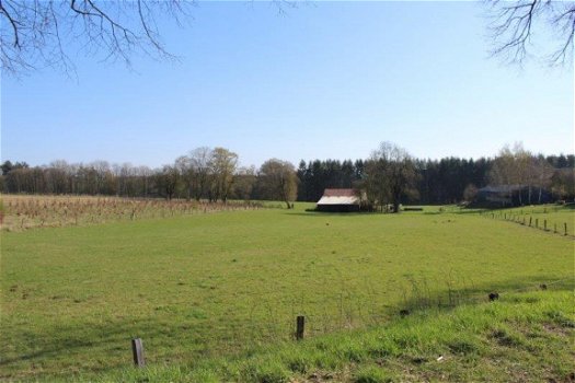 Ardennen,6880 Biourge-Bertrix : Bouwgrond 1342m² te koop - 1