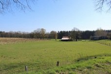 Ardennen,6880 Biourge-Bertrix : Bouwgrond 1342m² te koop