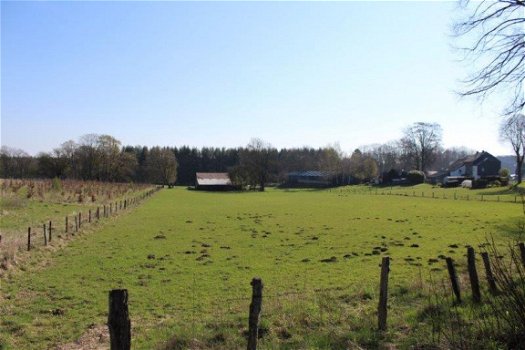 Ardennen,6880 Biourge-Bertrix : Bouwgrond 1342m² te koop - 2