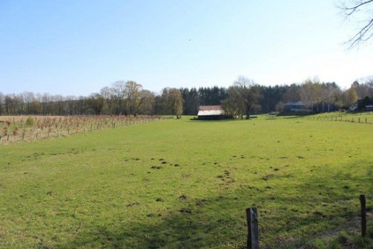 Ardennen,6880 Biourge-Bertrix : Bouwgrond 1342m² te koop - 3