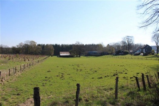 Ardennen,6880 Biourge-Bertrix : Bouwgrond 1342m² te koop - 5